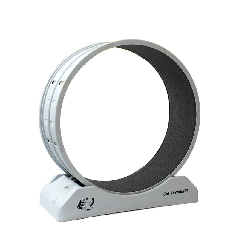 Turbo Tail Cat Wheel - Let Your Cat Run Wild!
