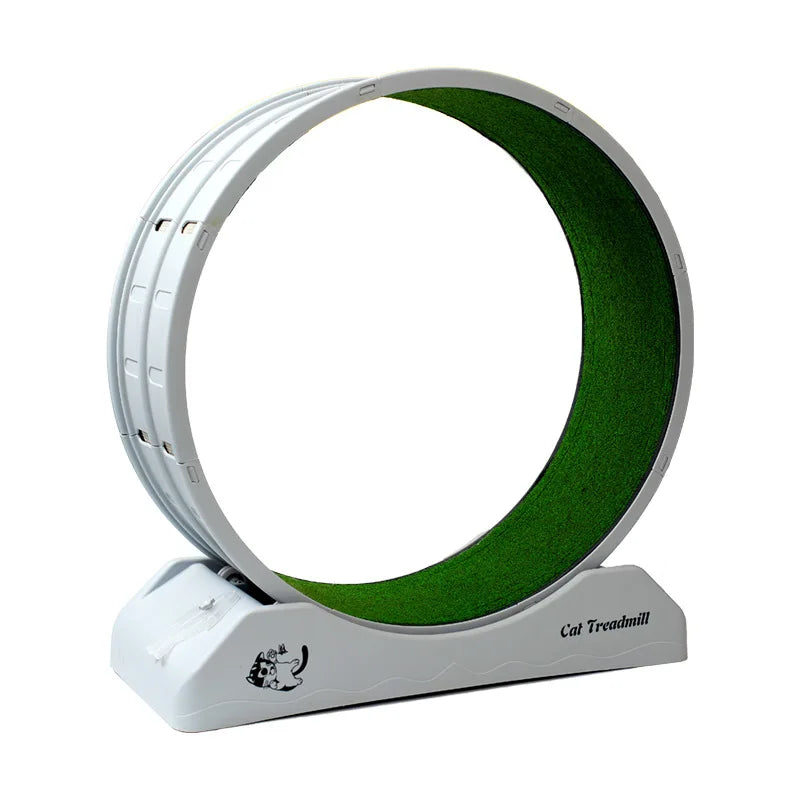 Turbo Tail Cat Wheel - Let Your Cat Run Wild!