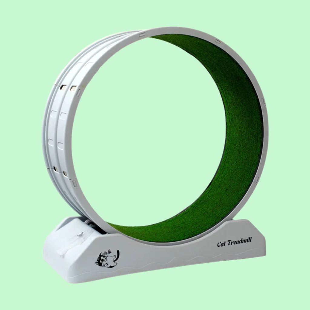 Turbo Tail Cat Wheel - Let Your Cat Run Wild!