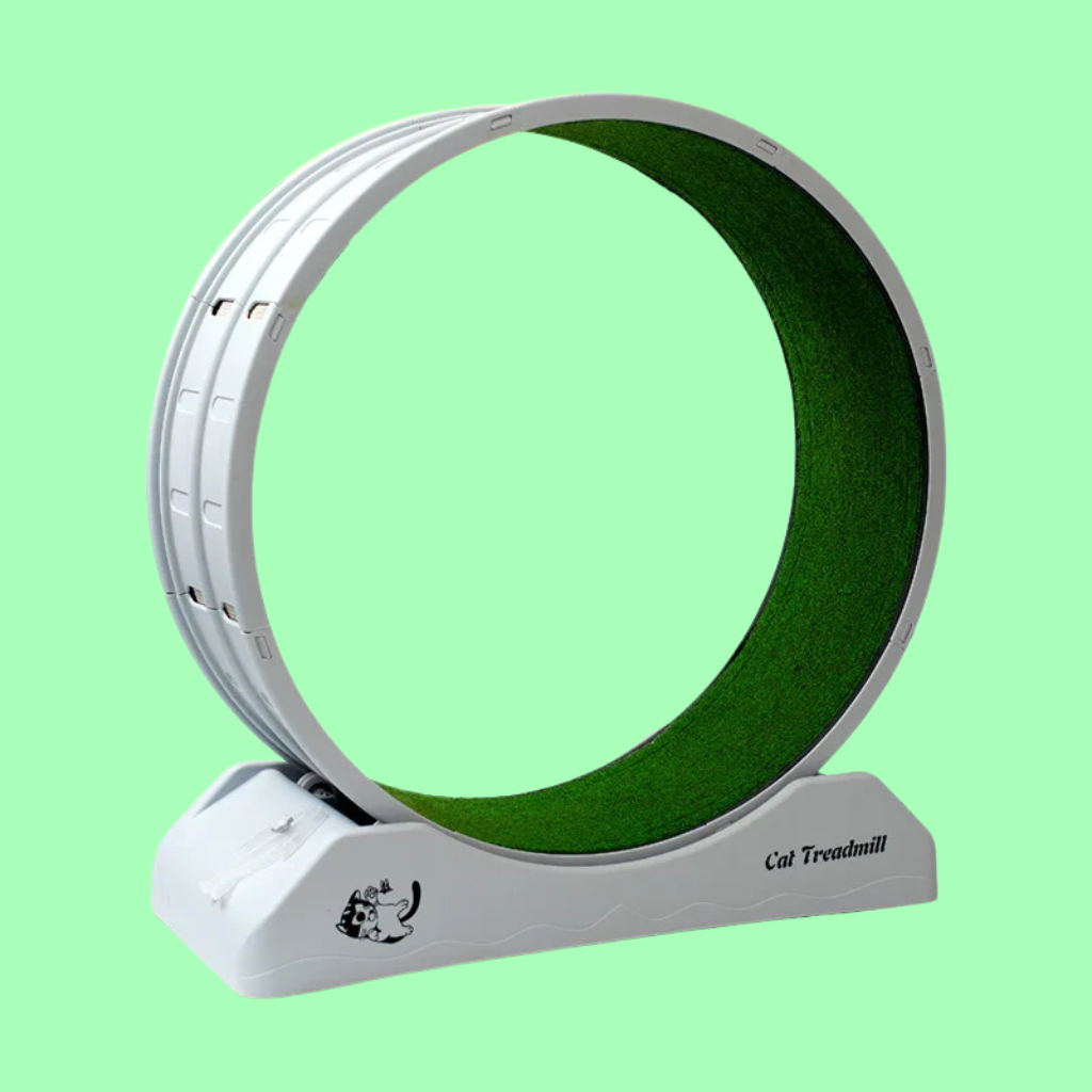 Turbo Tail Cat Wheel - Let Your Cat Run Wild!